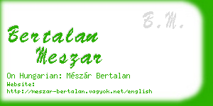 bertalan meszar business card